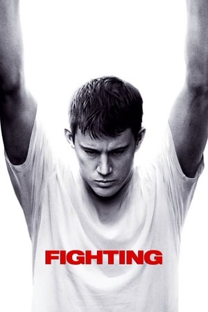 Fighting (2009) Hindi Dual Audio 450MB Fighting (2009) Hindi Dual Audio 450MB